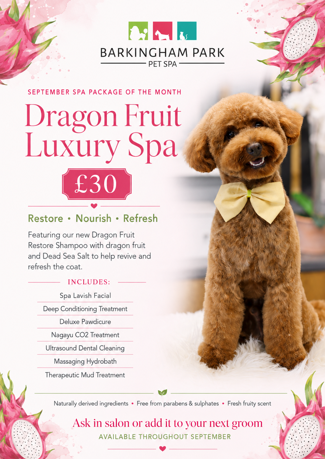 Dragon Fruit Luxury Spa — September spa package of the month, £30